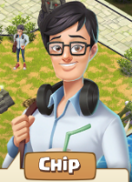 chip.png